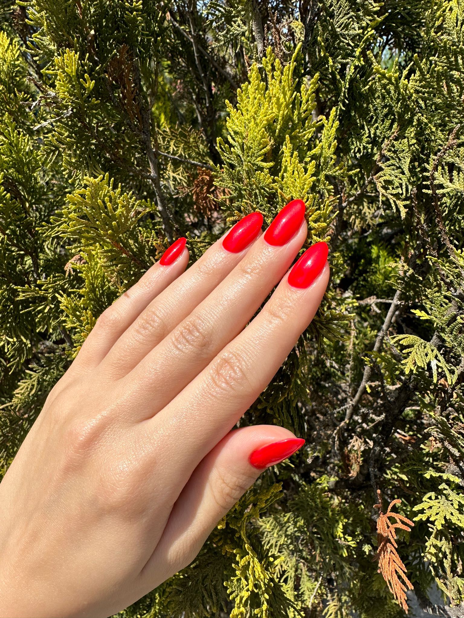 Eda Nail Art - Merkez / Bursa